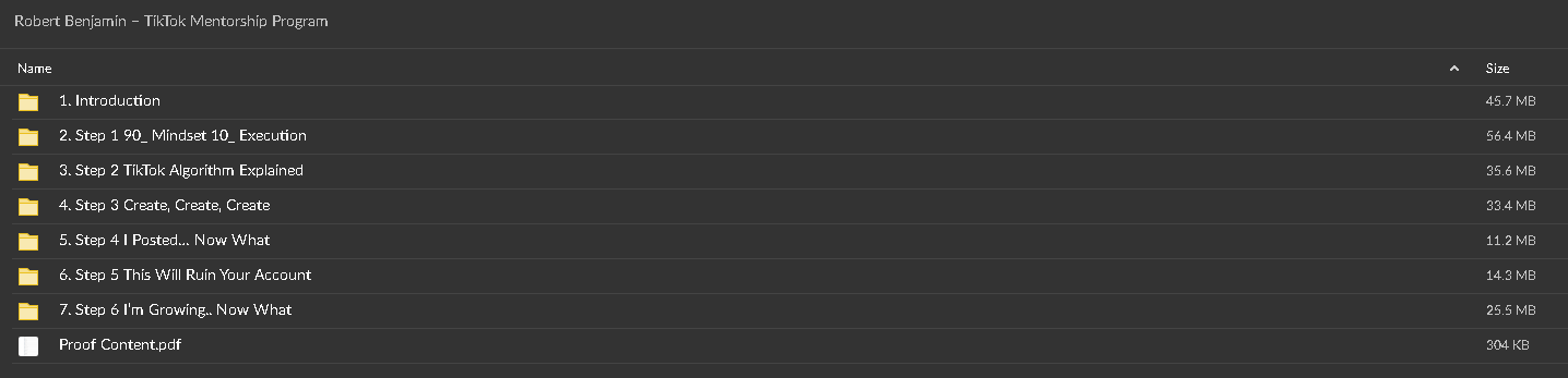 Robert Benjamin – TikTok Mentorship Program proof