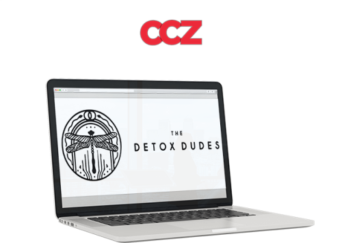 Josh Macin – The Detox Dudes Mastery 2.0