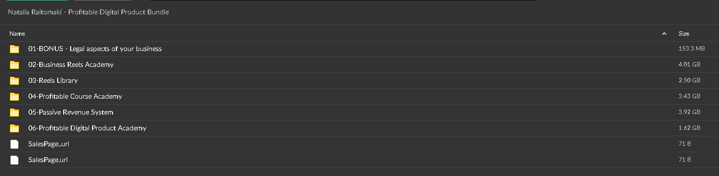 Natalia Raitomaki – Profitable Digital Product Bundle Proof