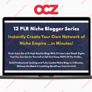 12 PLR Niche Blogs Bundle