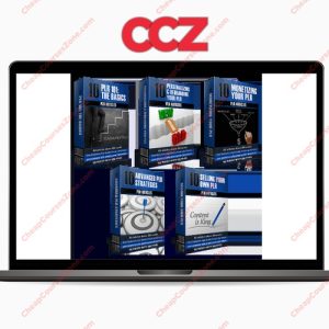 50 PLR On PLR From Beginner To Pro Articles