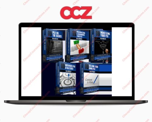 50 PLR On PLR From Beginner To Pro Articles