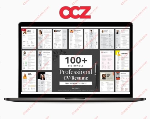 Big Bundle Professional CV Resume
