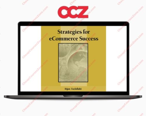 Bijan Fazlollahi Strategies for eCommerce Success