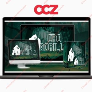 CRO Gorilla Get 42-80 of Traffic BACK to Your Site