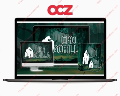 CRO Gorilla Get 42-80 of Traffic BACK to Your Site