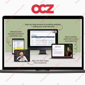 Danbee Shin Website Audit Masterclass