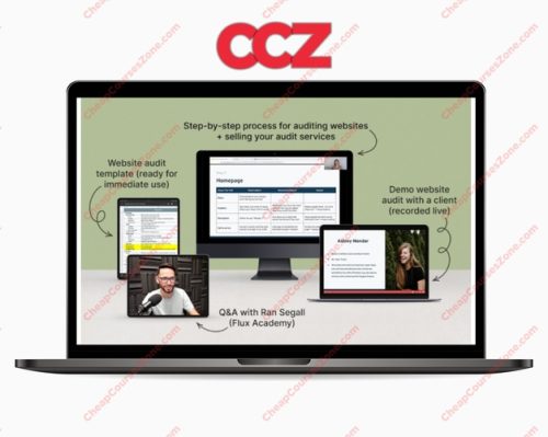 Danbee Shin Website Audit Masterclass