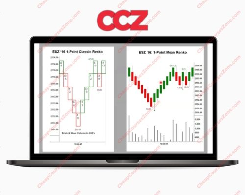 David Weis Weis on Wyckoff Renko Charts