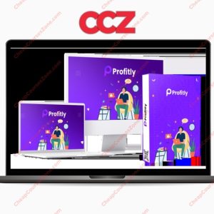 Dizisavvy Solutions Profitly
