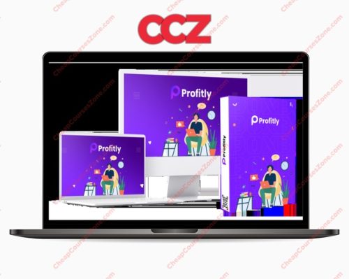 Dizisavvy Solutions Profitly