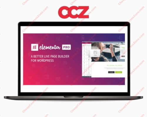 Elementor Pro 309 WordPress Plugin Package
