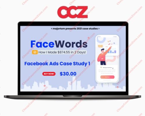 FaceWords Case Study How I Made 87455 in 2 Days With Facebook Ads