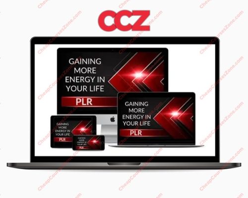 Gaining More Energy In Life PLR