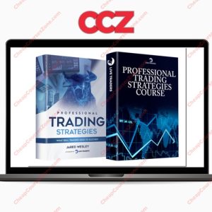 Live Traders Professional Trading Strategies