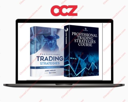 Live Traders Professional Trading Strategies