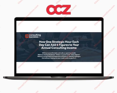 Michael Zipursky Momentum Consulting Success