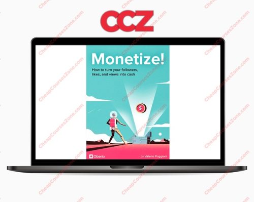 Monetize Turn Your Followers Likes and Views into Cash