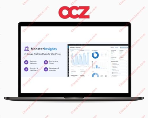 Monster Insights The Best WordPress Analytics Plugin Plus Addons