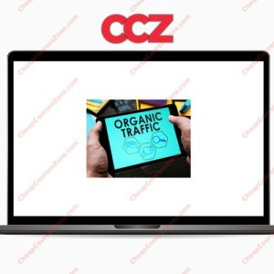 Organic Acceleration How I turned 20 to 7 figs with Organic Traffic
