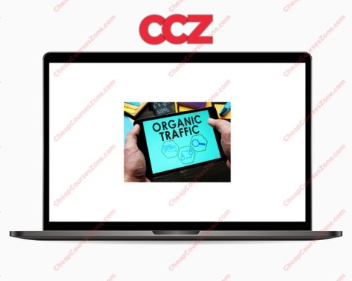 Organic Acceleration How I turned 20 to 7 figs with Organic Traffic