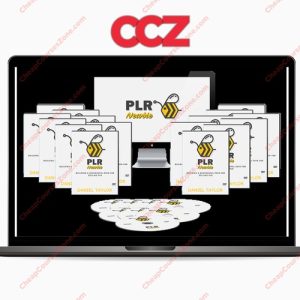 PLR Newbie A Powerful Course To Help Sell PLR Products