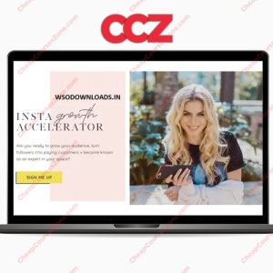 BossBabe Insta Growth Accelerator DIY