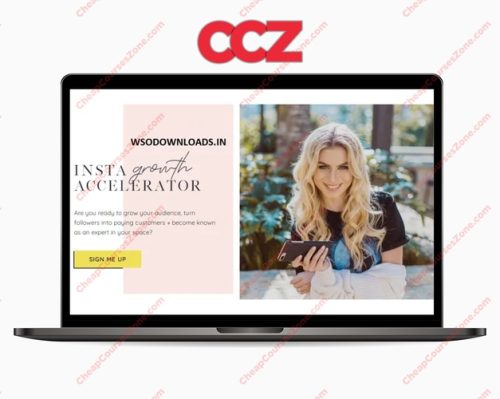 BossBabe Insta Growth Accelerator DIY