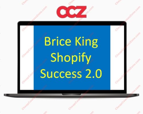 Brice King Shopify Success 20