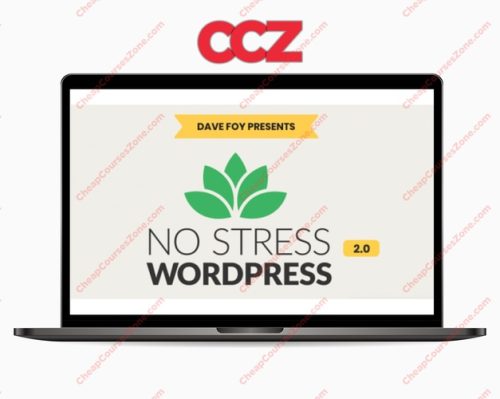 Dave Foy No Stress WordPress 20