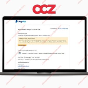 Make Money Finding Bugs on Other Websites