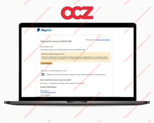 Make Money Finding Bugs on Other Websites