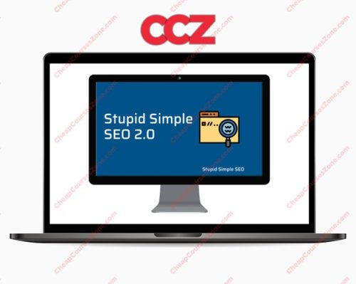 Stupid Simple SEO 20 Advanced