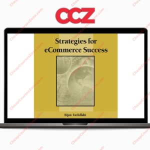 Bijan Fazlollahi Strategies for eCommerce Success