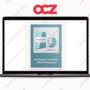 David Snyder James Seetoo STEALTH Selling Secrets