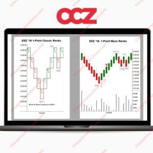 David Weis Weis on Wyckoff Renko Charts