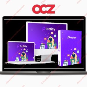 Dizisavvy Solutions Profitly