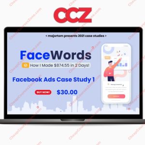 FaceWords Case Study How I Made 87455 in 2 Days With Facebook Ads