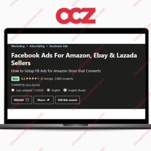 Facebook Ads For Amazon Ebay Lazada Sellers