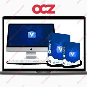 Goodluck Efe VidlyPro