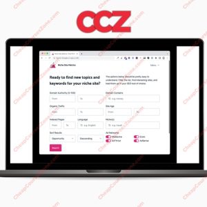 Ian Nuttall Niche Site Metrics