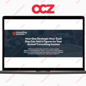 Michael Zipursky Momentum Consulting Success