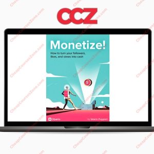 Monetize Turn Your Followers Likes and Views into Cash