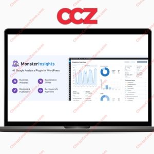 Monster Insights The Best WordPress Analytics Plugin Plus Addons