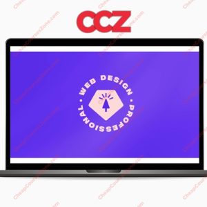 Ran Segall Web Design-Becoming a Professional