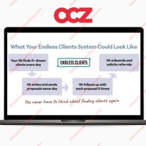 Robert Williams Endless Clients