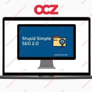 SUPER HOT SHARE Stupid Simple SEO 20 Advanced