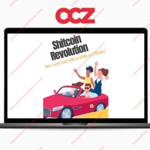 Shitcoin Revolution How I Went from 100 to 100000 in 3 Months