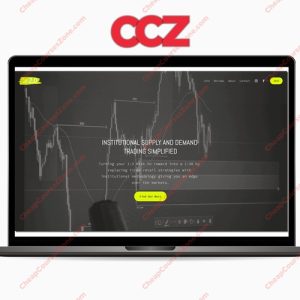 The Forex Organisation 20