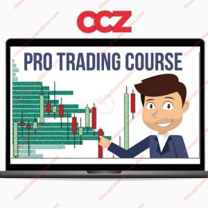 Trader Dale Volume Profile